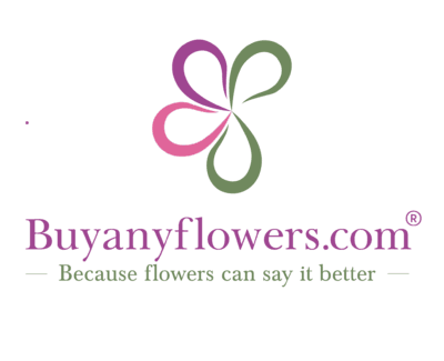 Buy Any Flowers Brand Logo