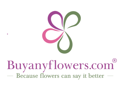 Buy Any Flowers Brand Logo